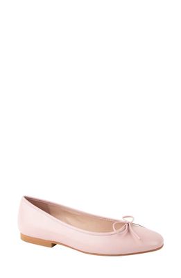 patricia green Hampton Bow Ballet Flat in Soft Pink