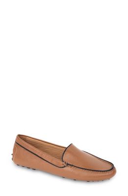 patricia green Jill Piped Driving Shoe in Chocolate/Black Leather