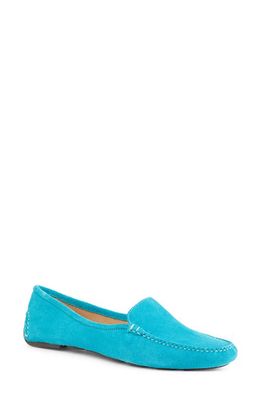 patricia green 'Jillian' Loafer in Turquoise Suede