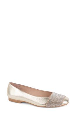 patricia green Milan Embellished Ballet Flat in Gold Leather
