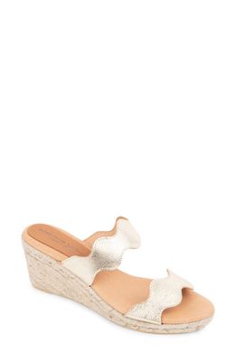 patricia green Palm Beach Espadrille Wedge Sandal in Gold