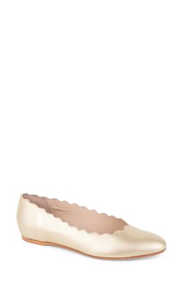 patricia green Palm Beach Scalloped Ballet Flat in Gold