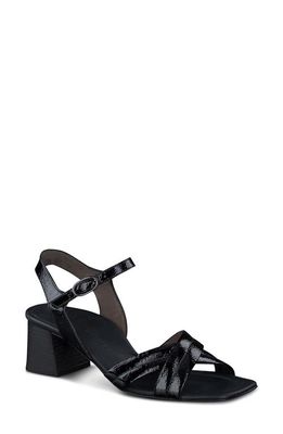 Paul Green Lexi Sandal in Black Crinkled Patent