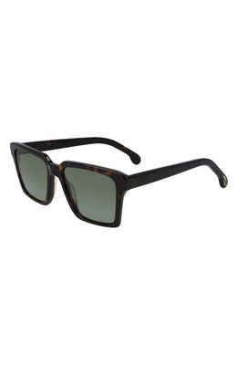 Paul Smith Austin 53mm Square Sunglasses in Deep Tortoise