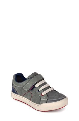 pediped Flex® Dani Sneaker in Grey