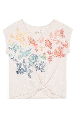 Peek Aren'T You Curious Kids' Rainbow Butterfly Cotton Graphic Tee in Oatmeal