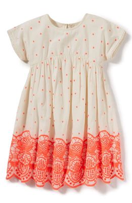 Peek Aren'T You Curious Peek Sun Embroidered Dress in Neon Coral