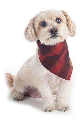 Pendleton Plaid Dog Bandana in Red Ombre