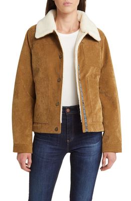 Pendleton Wind River Corduroy Trucker Jacket with Removable High Pile Fleece Collar in Saddle