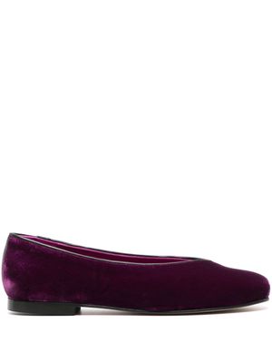 Penelope Chilvers velvet ballerina shoes - Purple