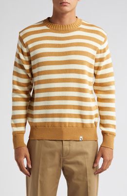 PEREGRINE Richmond Stripe Organic Cotton Sweater in Amber/White