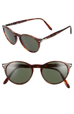 Persol 50mm Round Sunglasses in Havana/Green Solid