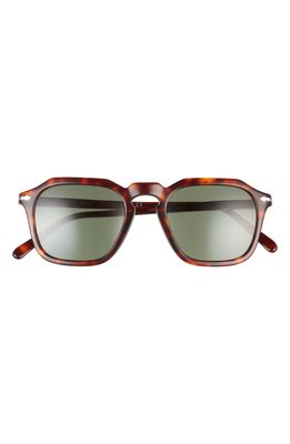 Persol 50mm Square Sunglasses in Havana