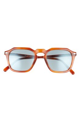 Persol 50mm Square Sunglasses in Light Brown
