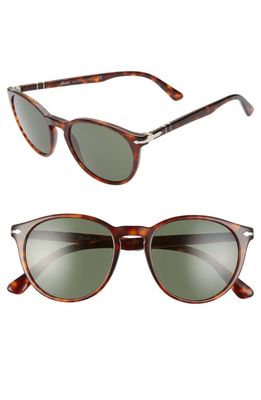 Persol 52mm Round Sunglasses in Brown/Green
