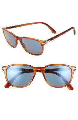 Persol 52mm Square Sunglasses in Tortoise/Blue Solid