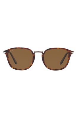 Persol 53mm Polarized Phantos Sunglasses in Green Tort
