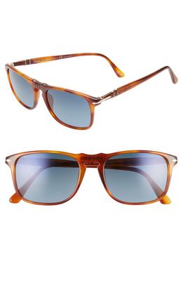 Persol 54mm Polarized Sunglasses in Tortoise/Blue Gradient