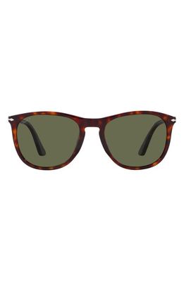 Persol 55mm Polarized Pillow Sunglasses in Havana Polarized