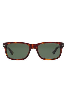 Persol 55mm Rectangular Sunglasses in Havana