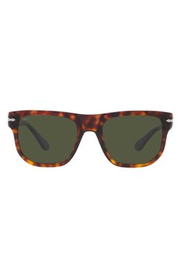 Persol 55mm Square Sunglasses in Havana