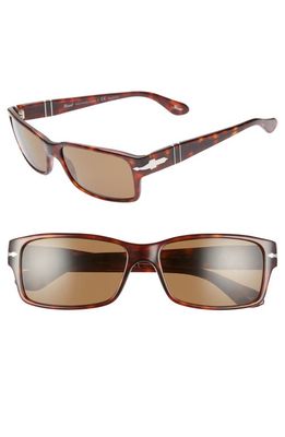 Persol 58mm Polarized Square Sunglasses in Havana/Brown Solid