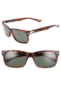 Persol 58mm Rectangle Sunglasses in Havana/Black Solid