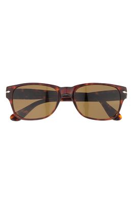 Persol Polarized Rectangular Sunglasses in Pol Brown