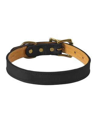 Personalized Small Dog Collar