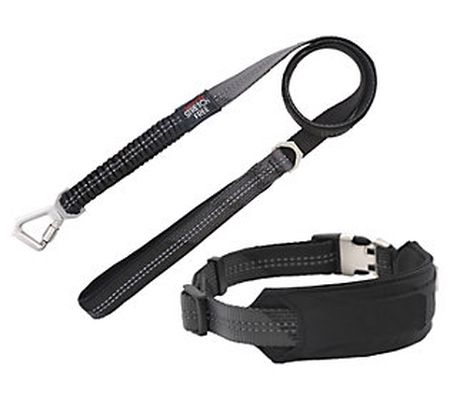 Pet Life 'Geo-prene' 2-in-1 Reflective Dog Leas h and Collar