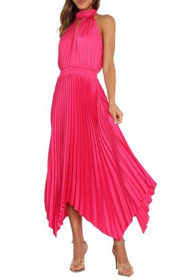 Petal & Pup Dominique Pleated Sleeveless Maxi Dress in Pink
