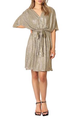 Petal & Pup Vivid Crinkle Metallic Dress in Gold