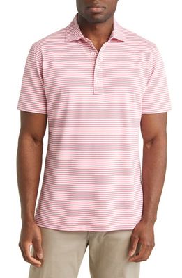 Peter Millar Crown Crafted Mood Performance Polo in Red Pear