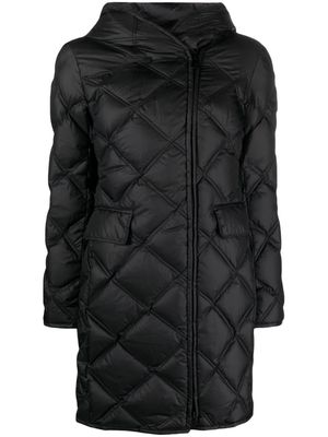 Peuterey hooded quilted coat - Black
