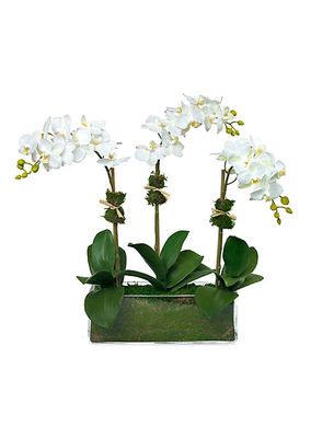 Phalaenopsis Faux Orchid Arrangement