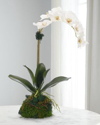 Phalaenopsis Orchid 20" Faux Floral Arrangement in Moss Ball