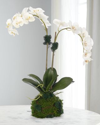 Phalaenopsis Orchid 25" Faux Floral Arrangement in Moss Ball