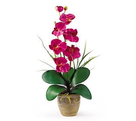 Phalaenopsis Orchid Flower Arrangement byNearly Natural