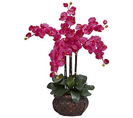 Phalaenopsis Vase Silk Flower Arrangement by Ne arly Natural