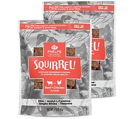 Phelps Wellness Squirrel Attention Focusing Dog Treats 2 Pack