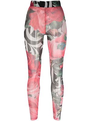 Philipp Plein floral high-rise leggings - Pink