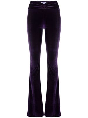 Philipp Plein low-rise velvet flared trousers - Purple
