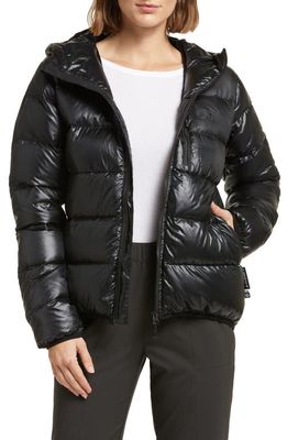 Picture Organic Clothing Hi Puff 600 Fill Power Recycled Down Jacket in Black