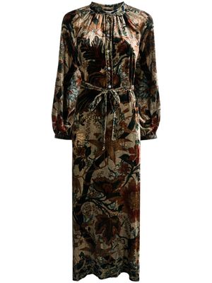 Pierre-Louis Mascia Kanpur floral-print velvet maxi dress - Neutrals