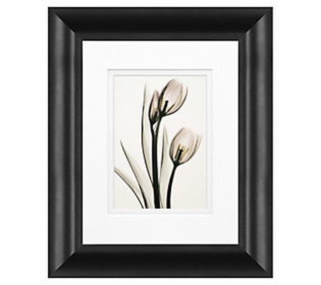 Pink Tulips Framed Art by Timeless Frames and D ecor