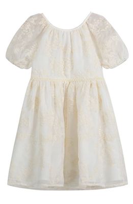 Pippa & Julie Embroidered Puff Sleeve Dress in Ivory