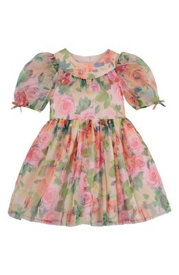 Pippa & Julie Kids' Floral Print Puff Sleeve Party Dress in Blush/Red