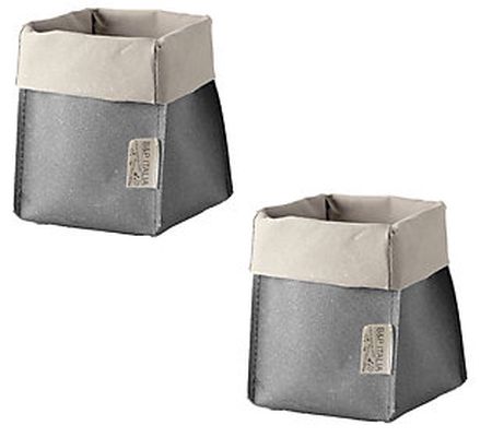 Planter Pouches Set of 2 Recycled Leather Planters