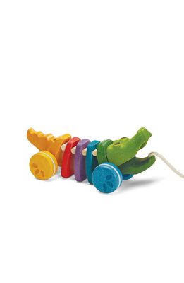 PlanToys Rainbow Alligator Pull Toy in Assorted