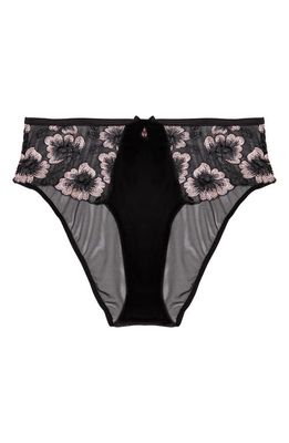 Playful Promises Alicia Embroidered High Waist Briefs in Black